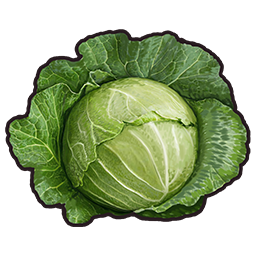 wls2_consumable_farm_cabbage_icon.png