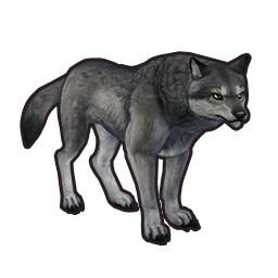 wolf_skin_1_icon.png