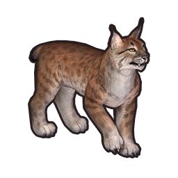 lynx_skin_3_summer_icon.png