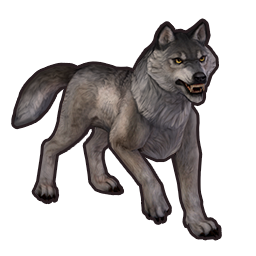 direwolf_skin_1_icon.png