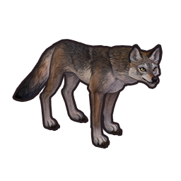 coyote_skin_2_icon.png