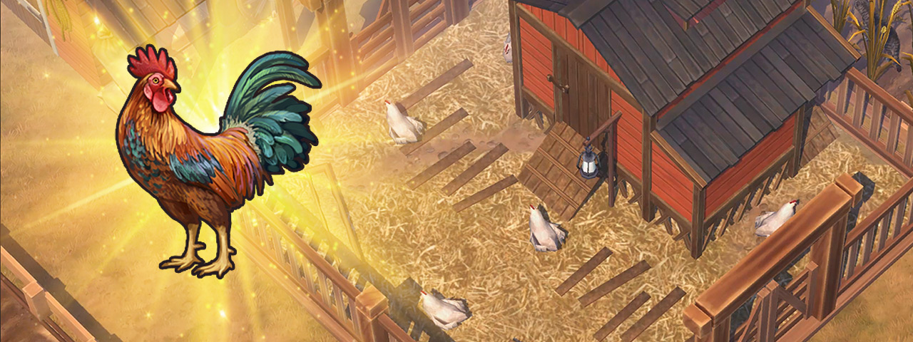 cover_4_chick.jpg