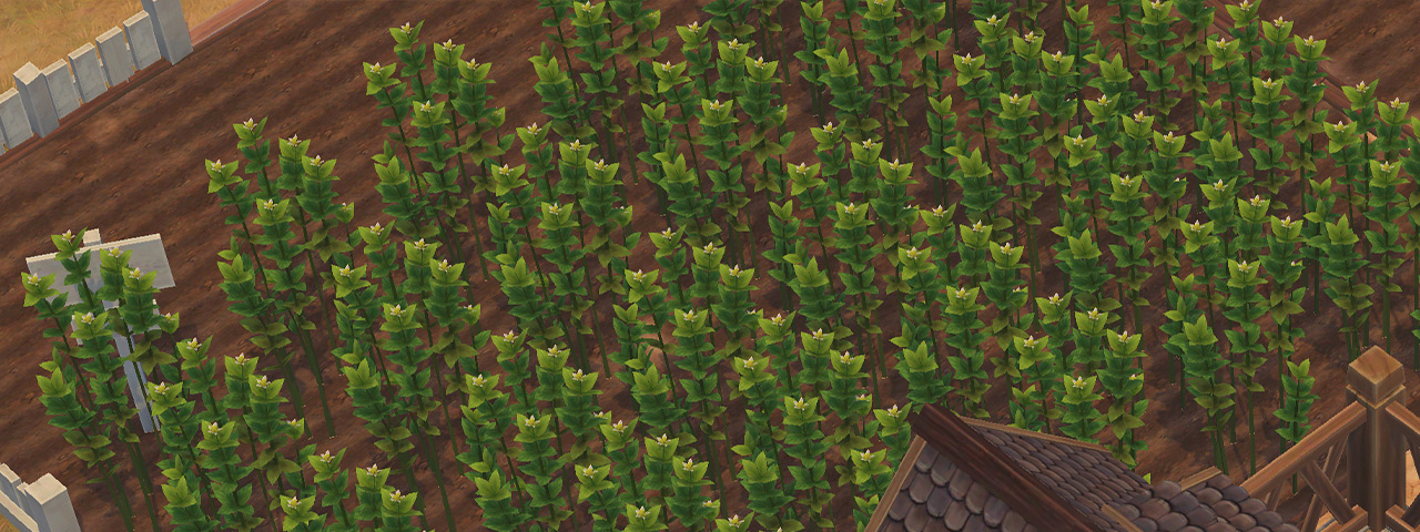 cover_5_field.jpg