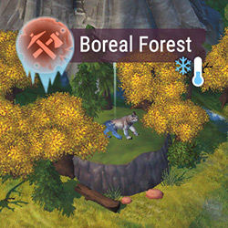 T6_Boreal_Forest.jpg