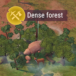 T2_Dense_Forest.jpg