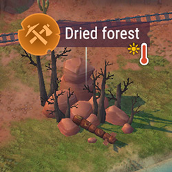 T2_Dried_Forest.jpg
