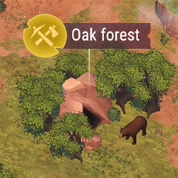 T2_Oak_Forest.jpg