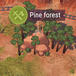 T1_Pine_Forest.jpg