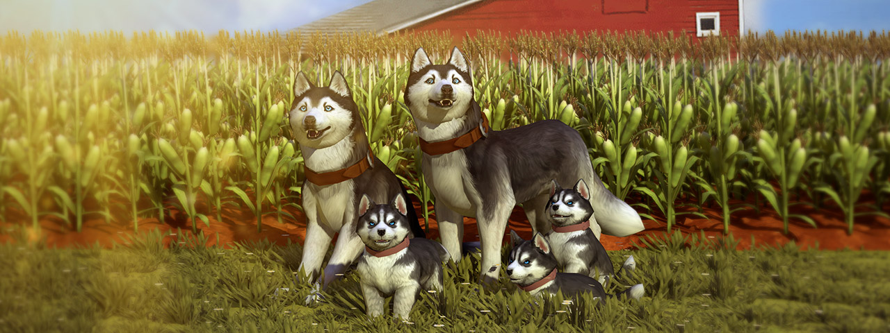 family.jpg
