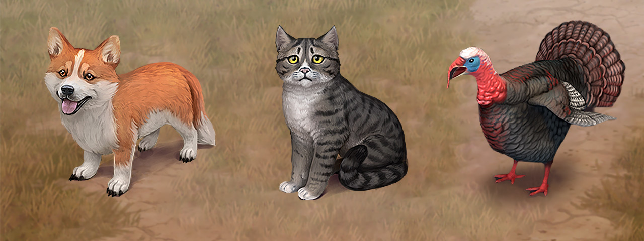 pets_domestic.jpg