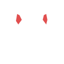 Execution.png