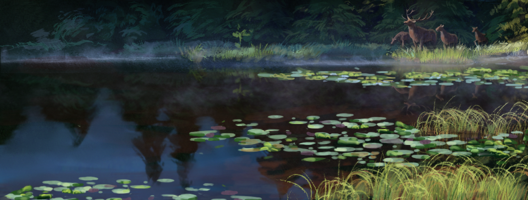 wls_Image_Forest_Lake.png
