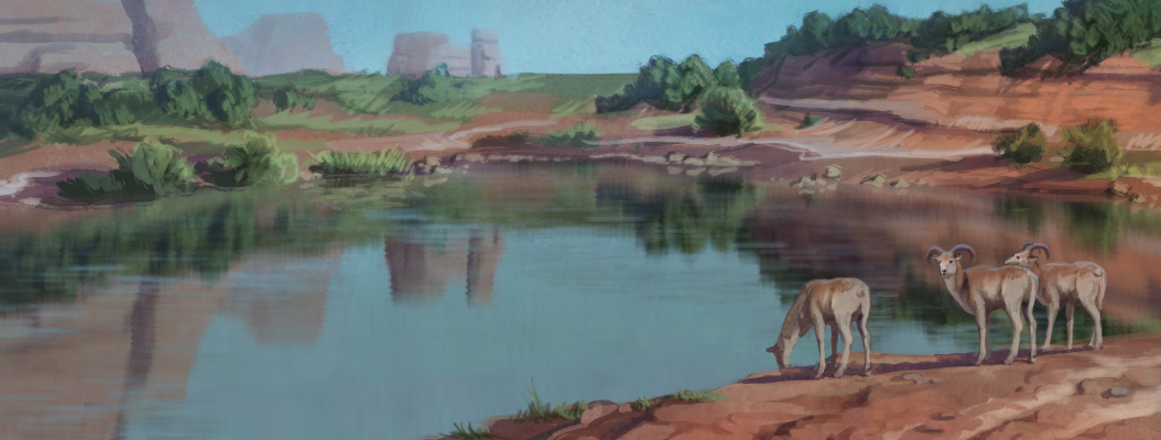 wls_Image_Prairie_Lake.png