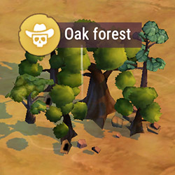 locations_oak_forest.jpg