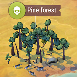 locations_pine_forest.jpg