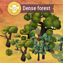 locations_dense_forest.jpg